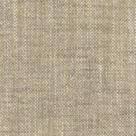 El Sol Flannel by Carole Designer Fabric Head Start,Power Play 100% Polyester N/A None 55" - Swanky Fabrics -