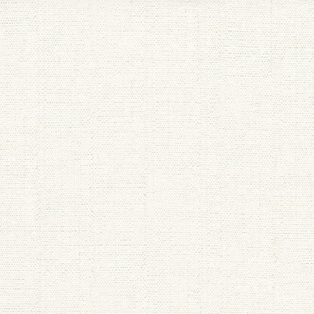 Cortland Snow by Carole Designer Fabric Gala 100% Polyester India None 54.75" - Swanky Fabrics -