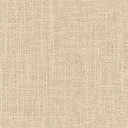 Lets Be Real Cream by Carole Designer Fabric See It Through 100% Recycled Polyester India 50,000 Wyzenbeek Double Rubs None 54" - Swanky Fabrics -