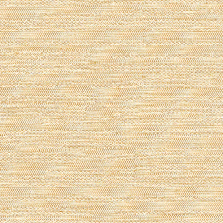 Aiden Bone by Carole Designer Fabric Chestnut 100% Polyester India N/A Horizontal: 0 and Vertical: 0 54 - Swanky Fabrics -