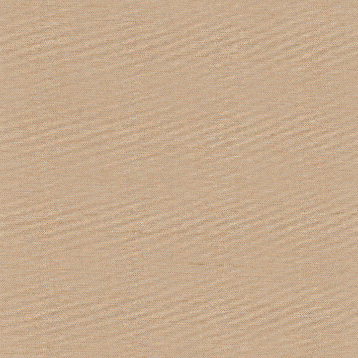 Northwind Almond by Carole Designer Fabric New Northwind Iv 100% Polyester India Passes 9,000 Double Rubs Wyzenbeek Horizontal: 0 and Vertical: 0 54 - Swanky Fabrics -