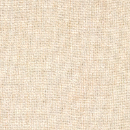 Gusto Oatmeal by Carole Designer Fabric Power Play 100% Polyester N/A None 55" - Swanky Fabrics -