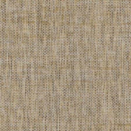Breather Birch by Carole Designer Fabric Synchrony 100% Polyester Turkey None 54" - Swanky Fabrics -