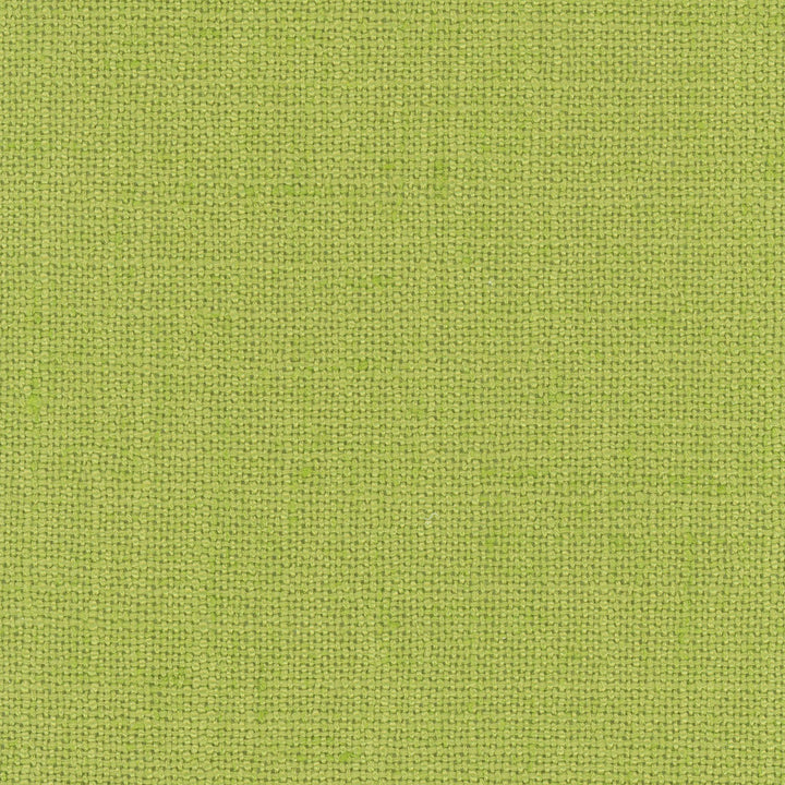 Defense Aloe by Carole Designer Fabric Celadon 95% Polyester, 5% Linen China Passes 110,000 Double Rubs Wyzenbeek Horizontal: 0 and Vertical: 0 57 - Swanky Fabrics -