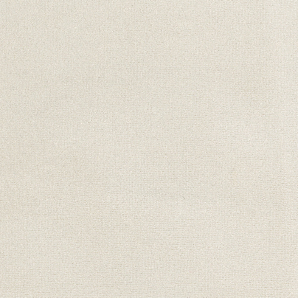 Plush Touch Oyster by Carole Designer Fabric Touch Of Luxury 100% Polyester Knit Backing China 235,000 Wyzenbeek Double Rubs Horizontal: 0 and Vertical: 0 55 - Swanky Fabrics -