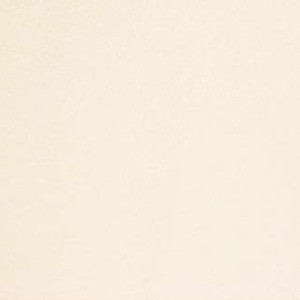 Carole Fabric Early Frost Ivory