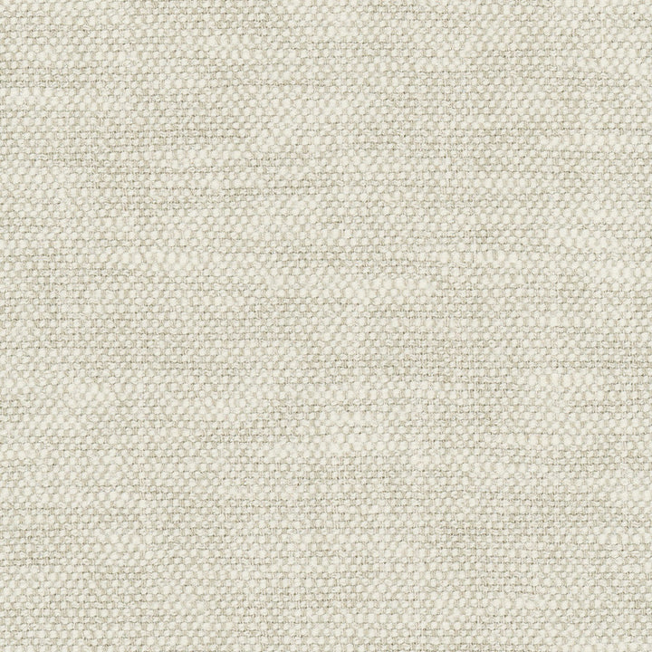 Overacting Alabaster by Carole Designer Fabric Opal 72% Polyester, 28% Cotton India N/A Horizontal: 0 and Vertical: 0 55 - Swanky Fabrics -