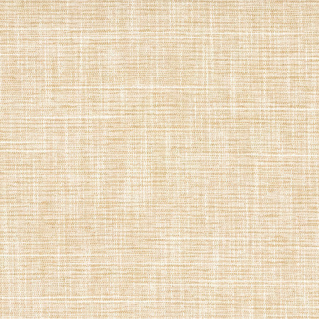 Big Thinker Raffia by Carole Designer Fabric Power Play 100% Polyester N/A None 55" - Swanky Fabrics -