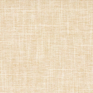 Carole Fabric Big Thinker Raffia