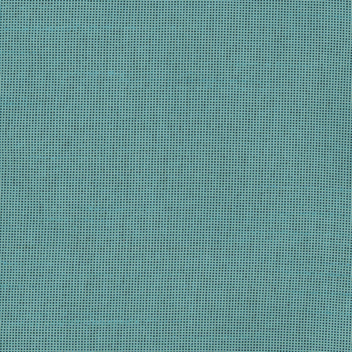 Fleeting Teal by Carole Designer Fabric Royale 100% Polyester India Passes 50,000 Double Rubs Wyzenbeek Horizontal: 0 and Vertical: 0 54 - Swanky Fabrics -