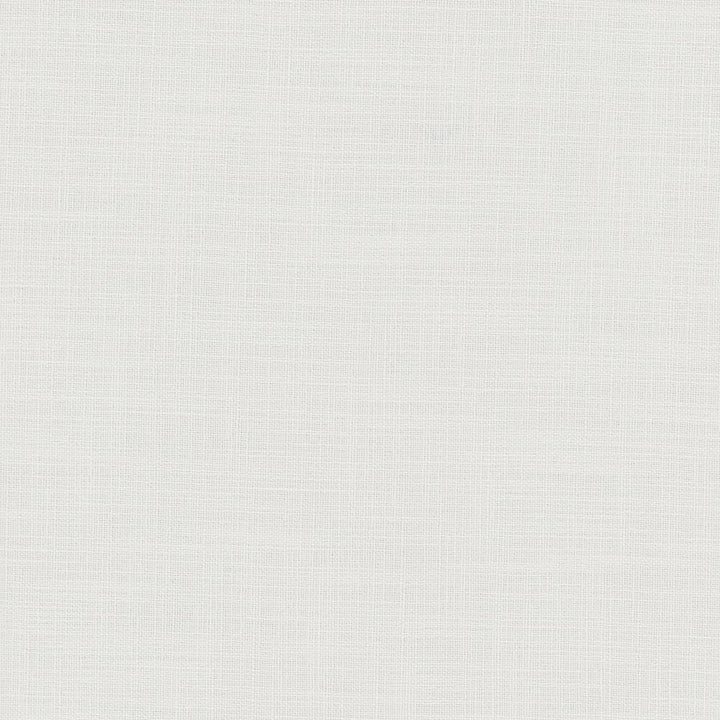 Fundamental Pewter by Carole Designer Fabric Fundamental 100% Polyester Turkey Passes 20,000 Double Rubs Wyzenbeek Horizontal: 0 and Vertical: 0 54 - Swanky Fabrics -