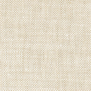 Carole Fabric Well Enough Muslin