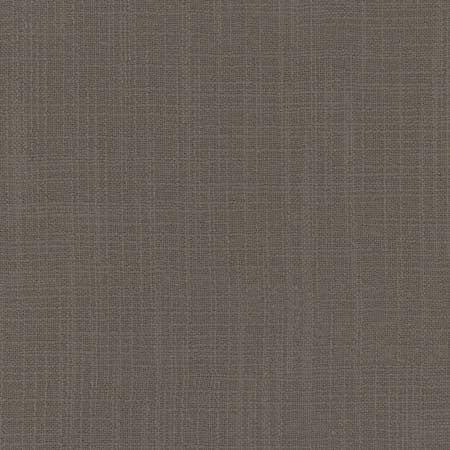 Lets Be Real Pewter by Carole Designer Fabric See It Through 100% Recycled Polyester India None 54" - Swanky Fabrics -