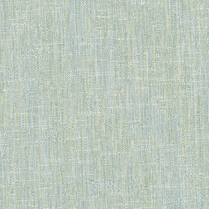 Hard Knocks Aqua by Carole Designer Fabric Celadon 69% Polyester, 31% Cotton India Passes 30,000 Double Rubs Wyzenbeek Horizontal: 0 and Vertical: 0 555 - Swanky Fabrics -