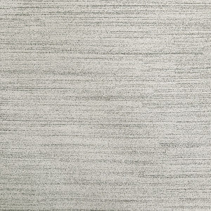 Carole Fabric Beginners Luck Silver