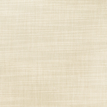 Athlete Cashew by Carole Designer Fabric Opal 60% Cotton, 40% Polyester India None 55" - Swanky Fabrics -