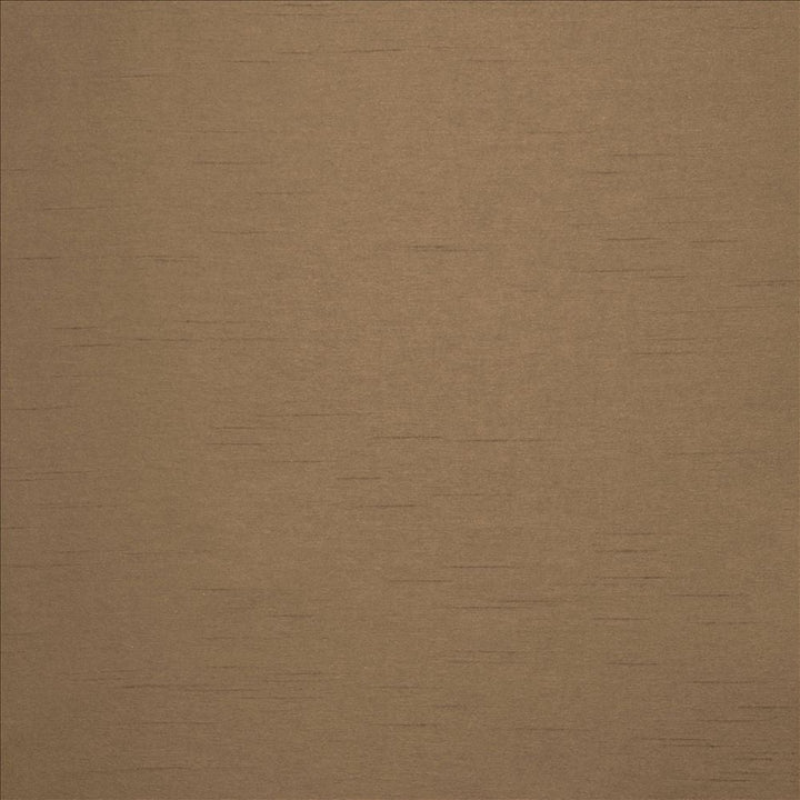 Firenza Beaver by Kasmir Designer Fabric See sample 100% Polyester
 INDIA 9,000 Wyzenbeek Double Rubs </p><p>Repeat: Horizontal: N/A and Vertical: N/A 54 - Swanky Fabrics -