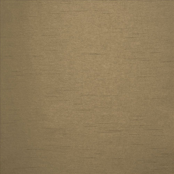 Firenza Camelback by Kasmir Designer Fabric 5152 100% Polyester
 INDIA </p><p>Repeat: Horizontal: N/A and Vertical: N/A 54 - 55 - Swanky Fabrics -