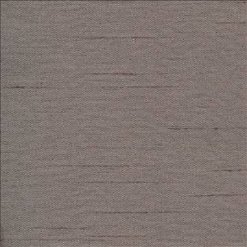 Firenza Charcoal by Kasmir Designer Fabric 1380 100% Polyester INDIA 9,000 Wyzenbeek Double Rubs H: N/A, V: N/A 54 - 55 - Swanky Fabrics - Kasmir
