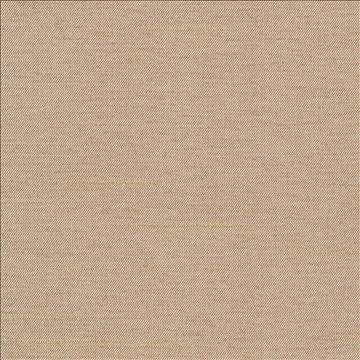 Firenza Doeskin by Kasmir Designer Fabric 1380 100% Polyester INDIA 9,000 Wyzenbeek Double Rubs H: N/A, V: N/A 54 - 55 - Swanky Fabrics - Kasmir
