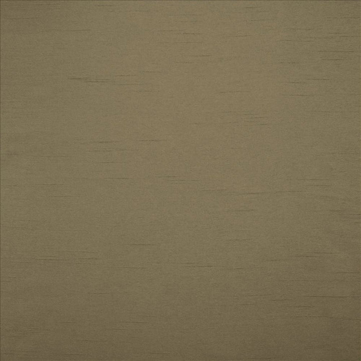 Firenza Mushroom by Kasmir Designer Fabric See sample 100% Polyester
 INDIA 9,000 Wyzenbeek Double Rubs </p><p>Repeat: Horizontal: N/A and Vertical: N/A 54 - Swanky Fabrics -