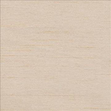Firenza Pebble by Kasmir Designer Fabric 1246 100% Polyester INDIA 9,000 Wyzenbeek Double Rubs H: N/A, V: N/A 54 - 55 - Swanky Fabrics - Kasmir