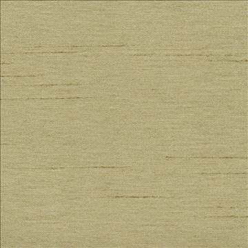 Firenza Sage by Kasmir Designer Fabric 1246 100% Polyester INDIA 9,000 Wyzenbeek Double Rubs H: N/A, V: N/A 54 - 55 - Swanky Fabrics - Kasmir