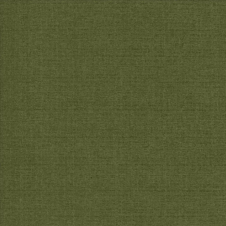 Flynn Pine by Kasmir Designer Fabric 5164 91% Polyester
9% Nylon
 CHINA 100,000 Wyzenbeek Double Rubs </p><p>Repeat: Horizontal: N/A and Vertical: N/A 54 - Swanky Fabrics -