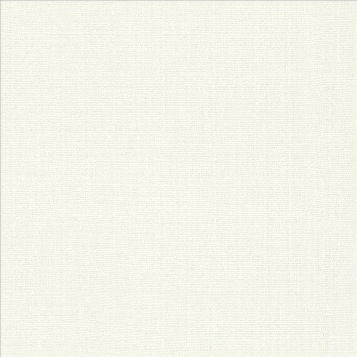 Flynn White by Kasmir Designer Fabric 5164 91% Polyester
9% Nylon
 CHINA 100,000 Wyzenbeek Double Rubs </p><p>Repeat: Horizontal: N/A and Vertical: N/A 54 - Swanky Fabrics -