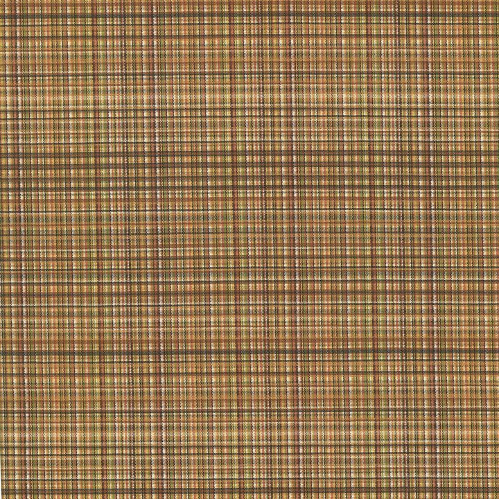 Formosa Brown Blaze by Kasmir Designer Fabric 5069 55% Cotton 45% Polyester TAIWAN 15,000 Wyzenbeek Double Rubs Horizontal: 6 6/8 inches and Vertical: 2 7/8 inches 55 - Swanky Fabrics -