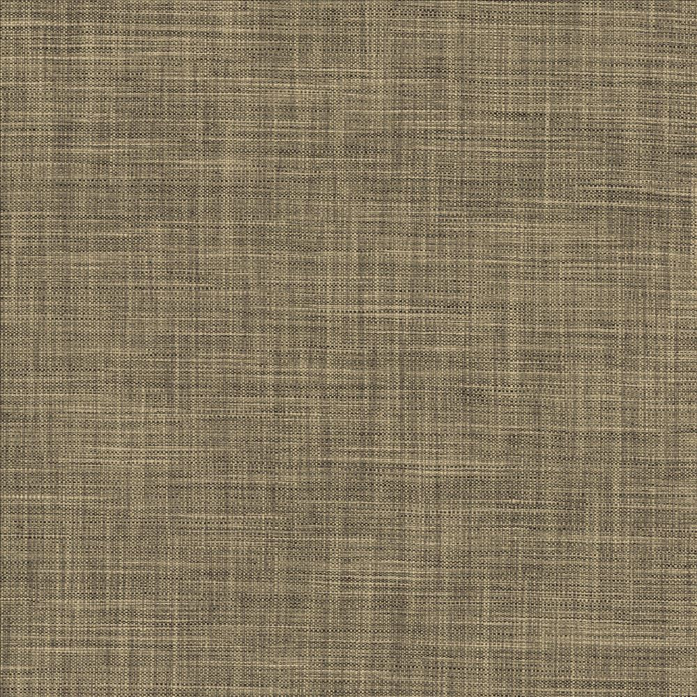 Foundation Ashen by Kasmir Designer Fabric 5120 64% Polyester 18% Cotton 9% Linen 9% Rayon INDIA 30,000 Wyzenbeek Double Rubs Horizontal: 0 Inches and Vertical: 0 Inches 54 - Swanky Fabrics -