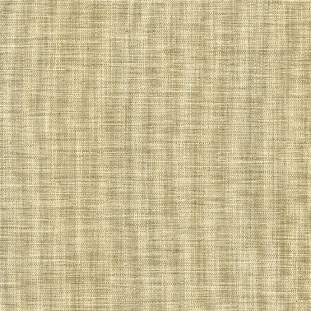 Foundation Dust  by Kasmir Designer Fabric 5120 64% Polyester
18% Cotton
9% Linen
9% Rayon
 INDIA 30,000 Wyzenbeek Double Rubs Horizontal: N/A and Vertical: N/A 54  - Swanky Fabrics -