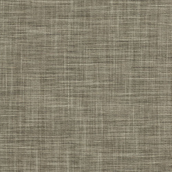 Foundation Granite  by Kasmir Designer Fabric 5120 64% Polyester
18% Cotton
9% Linen
9% Rayon
 INDIA 30,000 Wyzenbeek Double Rubs Horizontal: N/A and Vertical: N/A 54  - Swanky Fabrics -