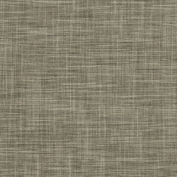 Foundation Granite by Kasmir Designer Fabric 5120 64% Polyester
18% Cotton
9% Linen
9% Rayon
 INDIA </p><p>Repeat: Horizontal: N/A and Vertical: N/A 54 - Swanky Fabrics -