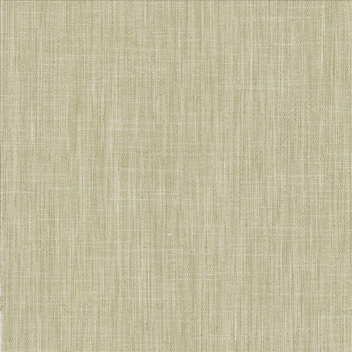 Foundation Vapor by Kasmir Designer Fabric 5120 64% Polyester 18% Cotton 9% Linen 9% Rayon INDIA 30,000 Wyzenbeek Double Rubs Horizontal: 0 Inches and Vertical: 0 Inches 54 - Swanky Fabrics -