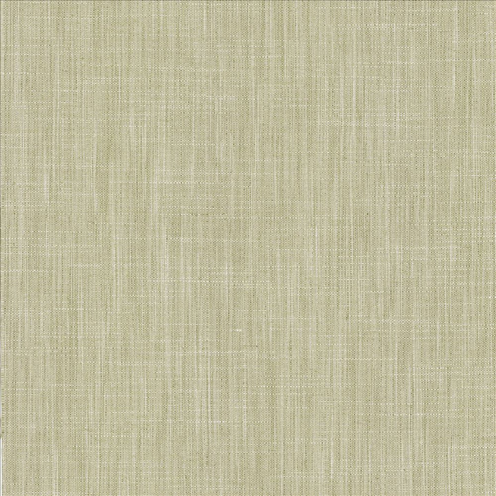 Foundation Vapor by Kasmir Designer Fabric 5120 64% Polyester
18% Cotton
9% Linen
9% Rayon
 INDIA </p><p>Repeat: Horizontal: N/A and Vertical: N/A 54 - Swanky Fabrics -