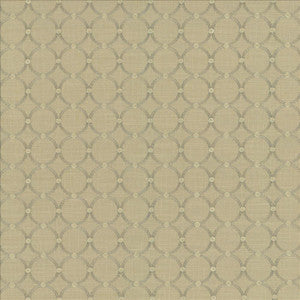 Kasmir Fabric Full Circle Sterling