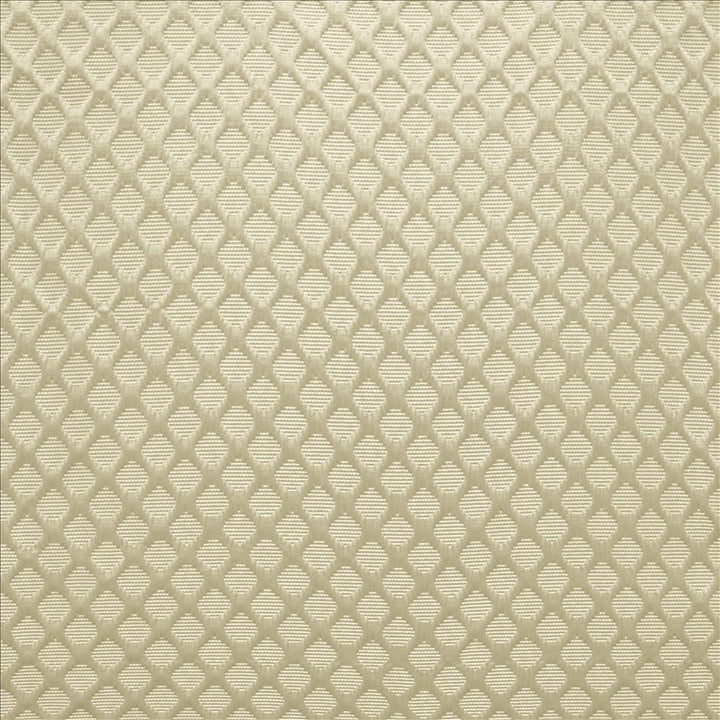 Gaineswood Silver  by Kasmir Designer Fabric 5147 100% Polyester
 INDIA Not Tested Horizontal: 1 1/8 inches and Vertical: 1 2/8 inches 54  - Swanky Fabrics -