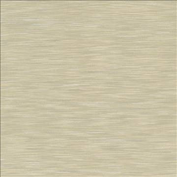 Gainsford Fog by Kasmir Designer Fabric 5060 75% Polyester 25% Viscose INDIA Not Tested H: N/A, V: N/A 54 - Swanky Fabrics - Kasmir