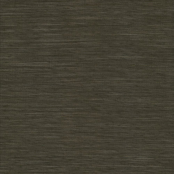 Gainsford Gunmetal by Kasmir Designer Fabric 5060 75% Polyester
25% Viscose
 INDIA </p><p>Repeat: Horizontal: N/A and Vertical: N/A 54 - Swanky Fabrics -
