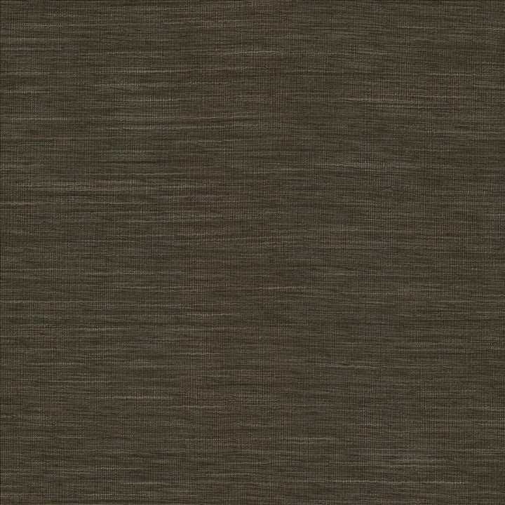 Gainsford Gunmetal  by Kasmir Designer Fabric 5060 75% Polyester
25% Viscose
 INDIA Not Tested Horizontal: N/A and Vertical: N/A 54  - Swanky Fabrics -