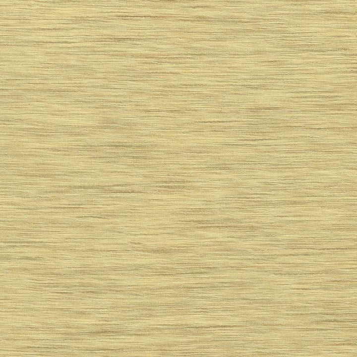 Gainsford Honey by Kasmir Designer Fabric 5060 75% Polyester 25% Viscose INDIA Not Tested Horizontal: 0 Inches and Vertical: 0 Inches 54 - Swanky Fabrics -