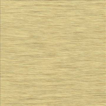 Gainsford Honey by Kasmir Designer Fabric 5060 75% Polyester 25% Viscose INDIA Not Tested H: N/A, V: N/A 54 - Swanky Fabrics - Kasmir