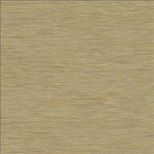 Kasmir Fabric Gainsford Linen