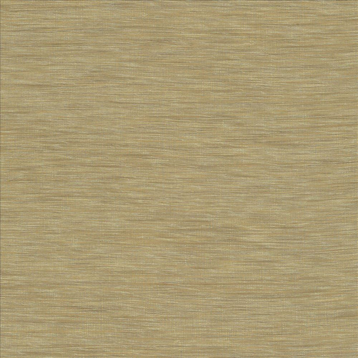 Gainsford Linen by Kasmir Designer Fabric 5060 75% Polyester 25% Viscose INDIA Not Tested Horizontal: 0 Inches and Vertical: 0 Inches 54 - Swanky Fabrics -