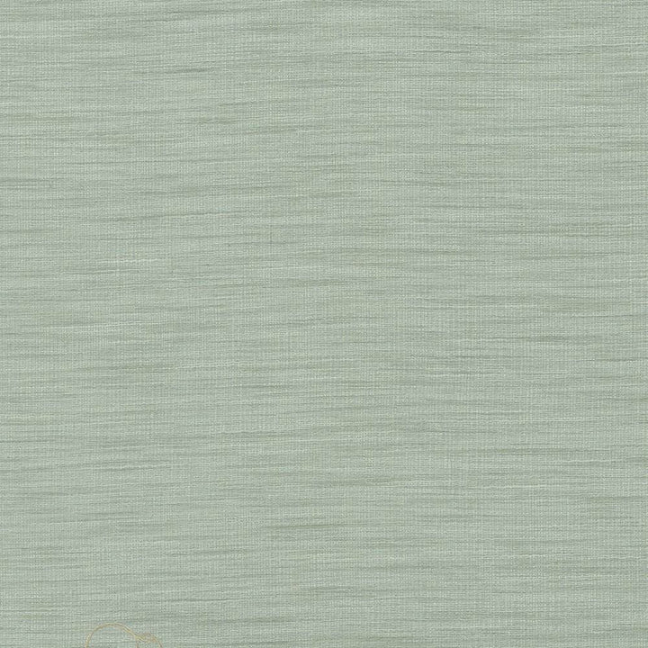 Gainsford Opal by Kasmir Designer Fabric 5060 75% Polyester
25% Viscose
 INDIA </p><p>Repeat: Horizontal: N/A and Vertical: N/A 54 - Swanky Fabrics -