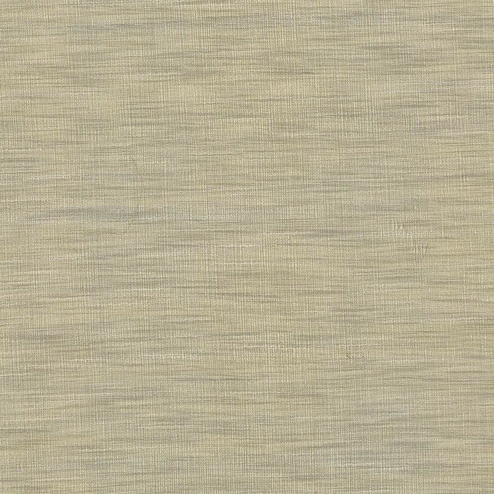 Gainsford Pebble by Kasmir Designer Fabric 5060 75% Polyester 25% Viscose INDIA Not Tested Horizontal: 0 Inches and Vertical: 0 Inches 54 - Swanky Fabrics -