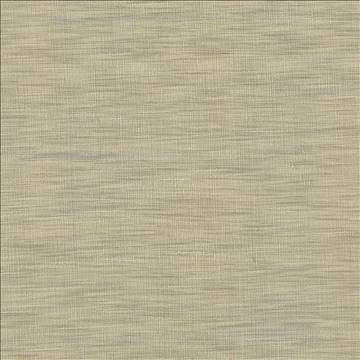 Gainsford Pebble by Kasmir Designer Fabric 5060 75% Polyester 25% Viscose INDIA Not Tested H: N/A, V: N/A 54 - Swanky Fabrics - Kasmir
