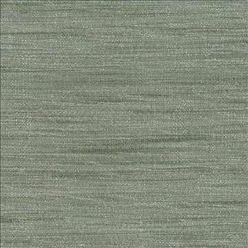 Gainsford Plantinum by Kasmir Designer Fabric 1313 75% Polyester 25% Viscose INDIA Not Tested H: N/A, V: N/A 54 - Swanky Fabrics - Kasmir