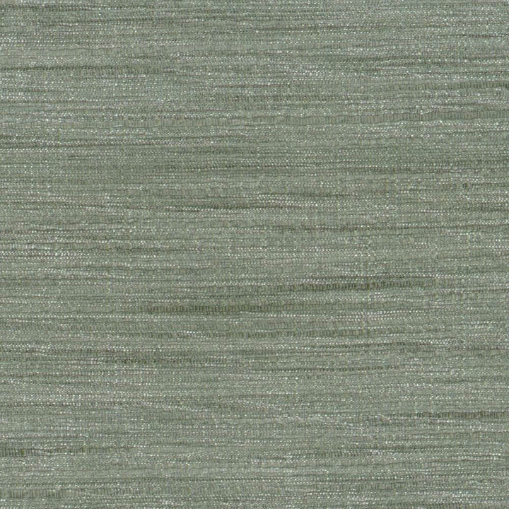 Gainsford Plantinum by Kasmir Designer Fabric 1313 75% Polyester 25% Viscose INDIA Not Tested Horizontal: 0 Inches and Vertical: 0 Inches 54 - Swanky Fabrics -